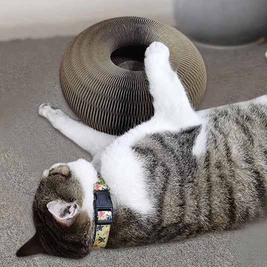 Magic Organ Cat Scratching Board - Trend Junction 