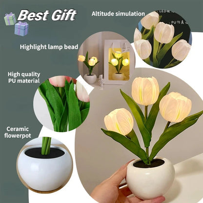 Tulip Night Light with Vase - Trend Junction 
