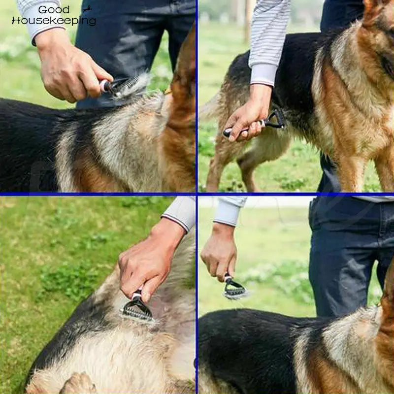 Pet Grooming Brush - Trend Junction 