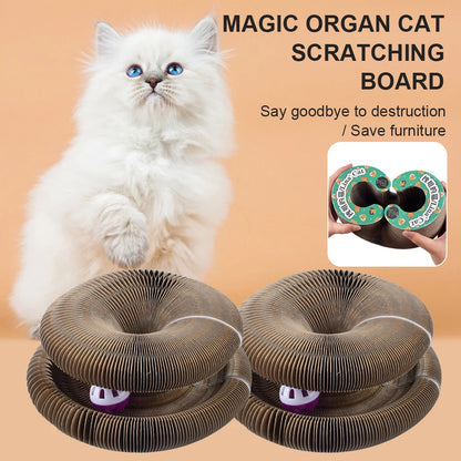 Magic Organ Cat Scratching Board - Trend Junction 