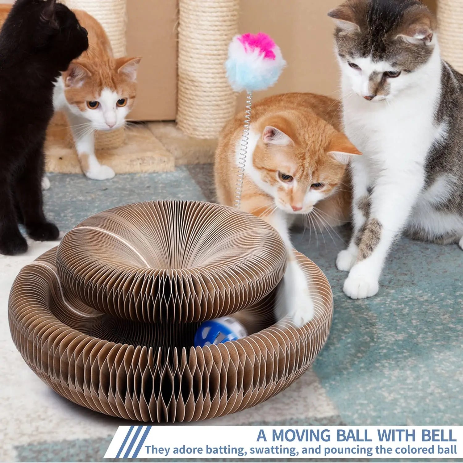 Magic Organ Cat Scratching Board - Trend Junction 