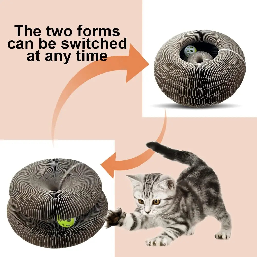 Magic Organ Cat Scratching Board - Trend Junction 