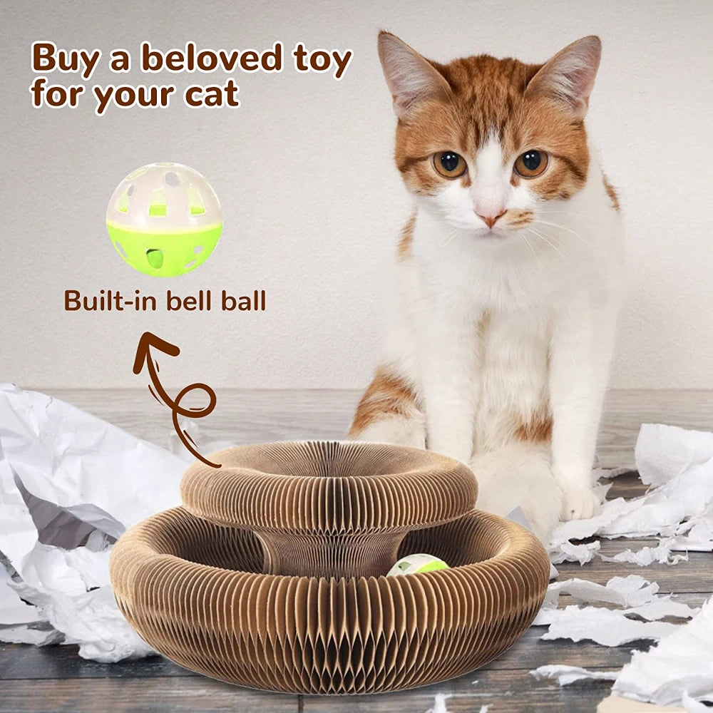 Magic Organ Cat Scratching Board - Trend Junction 